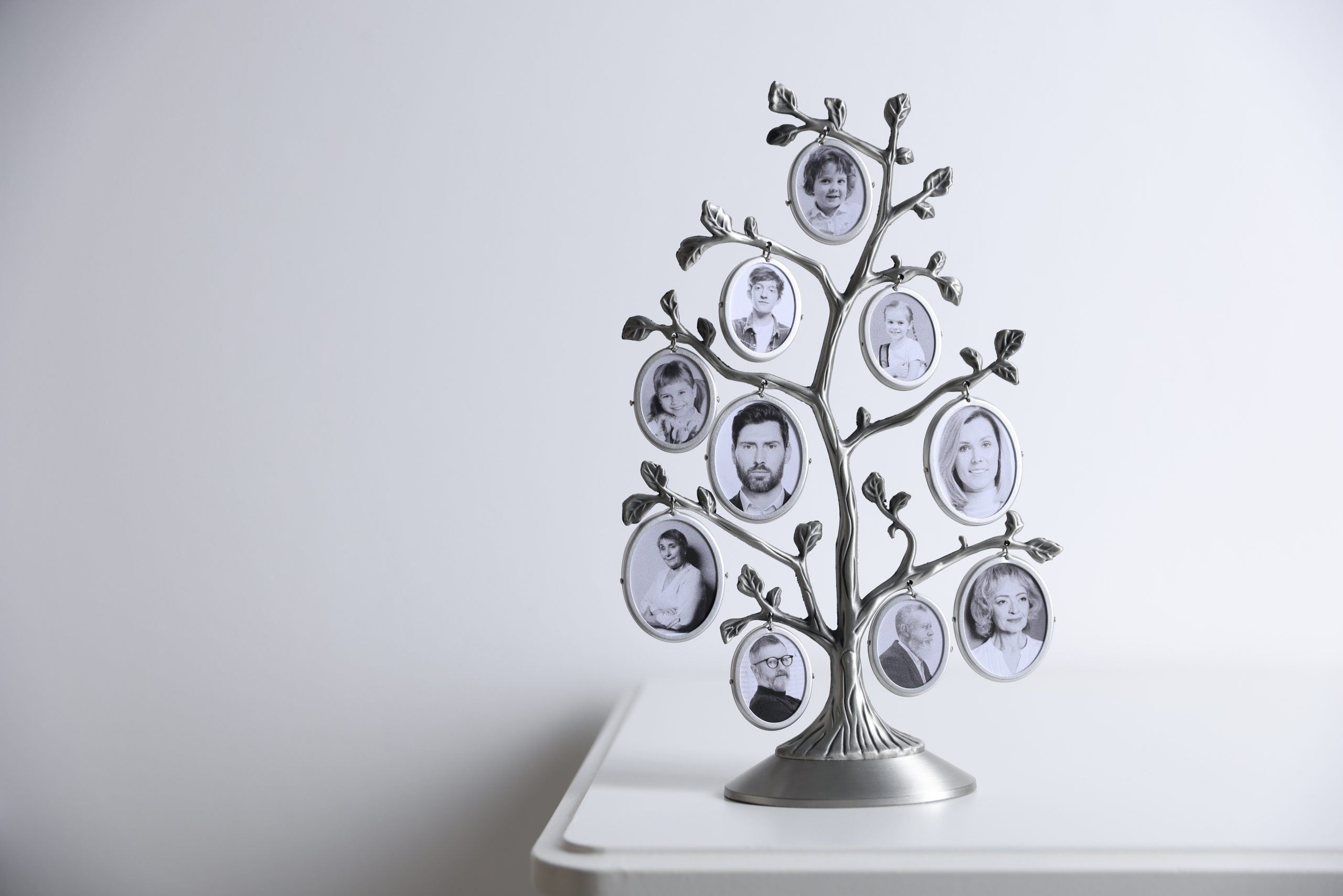 Family tree photo frame on white table indoors Space for text
